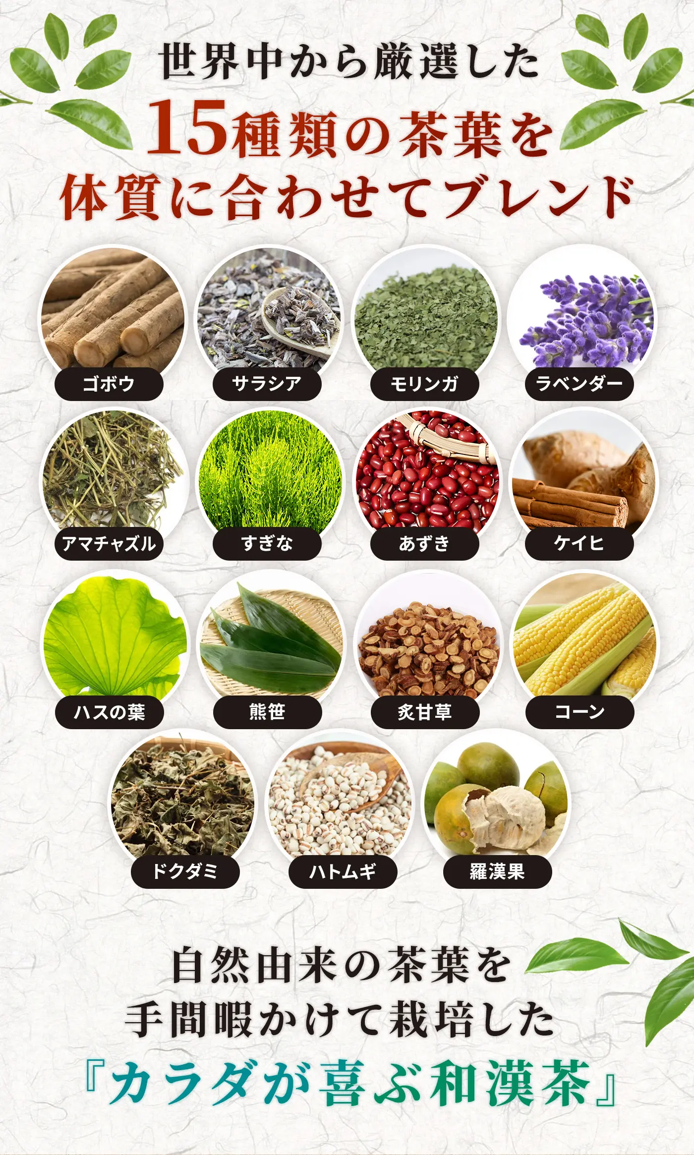 15種類の茶葉